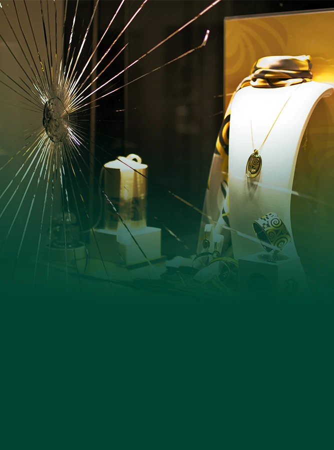 Lacuna Güvenlik Filmleri